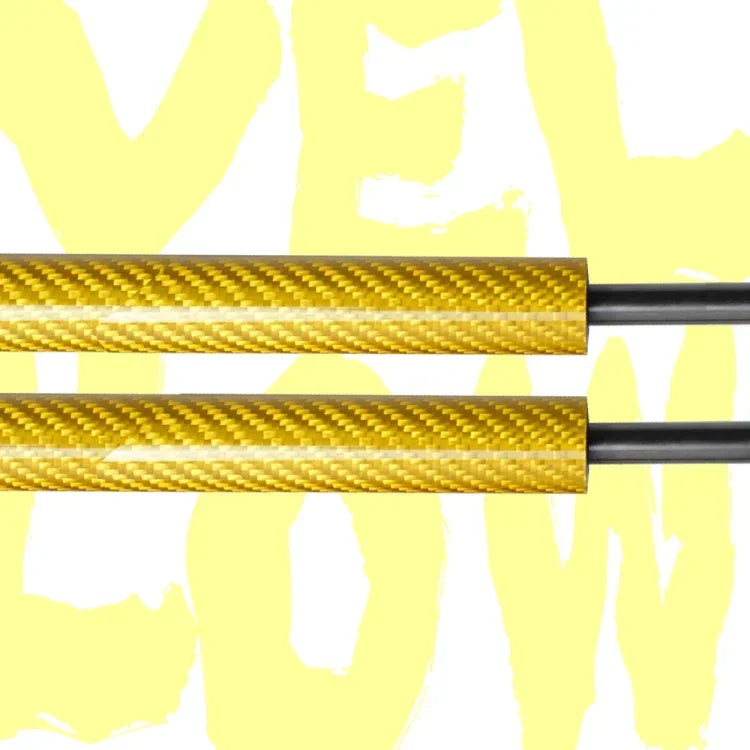 Vérins de Coffre Automatiques avec Ressort – BMW Série 1 F20 (2011–2019) HushBimmer